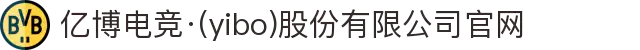 亿博电竞·(yibo)股份有限公司官网